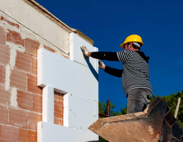 Best Insulation Maintenance and Repair in Plain City, UT