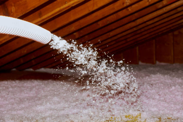 Best Insulation Installation Services in Plain City, UT