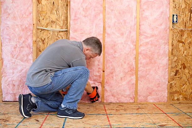Best Types of Insulation in Plain City, UT